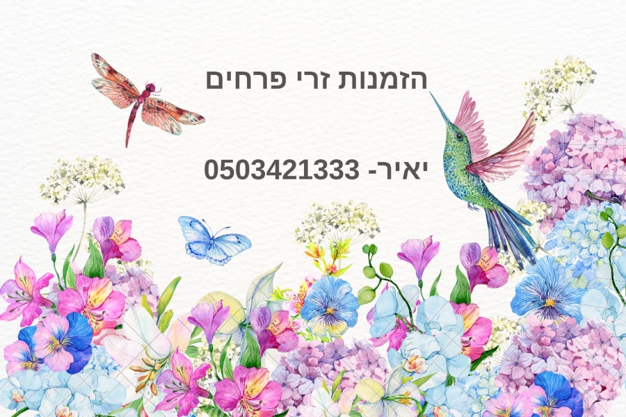 e16f5c8f-e400-4011-9755-d2213d72e8bf