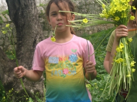 תמונות מחיי הקהילה(53 תמונות)