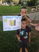 דגלים לשמחת תורה(18 תמונות)